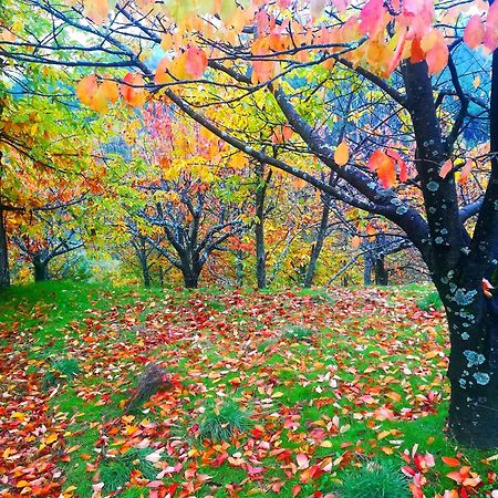 La Albarea By #Cherrygredos El Arenal  Buitenkant foto