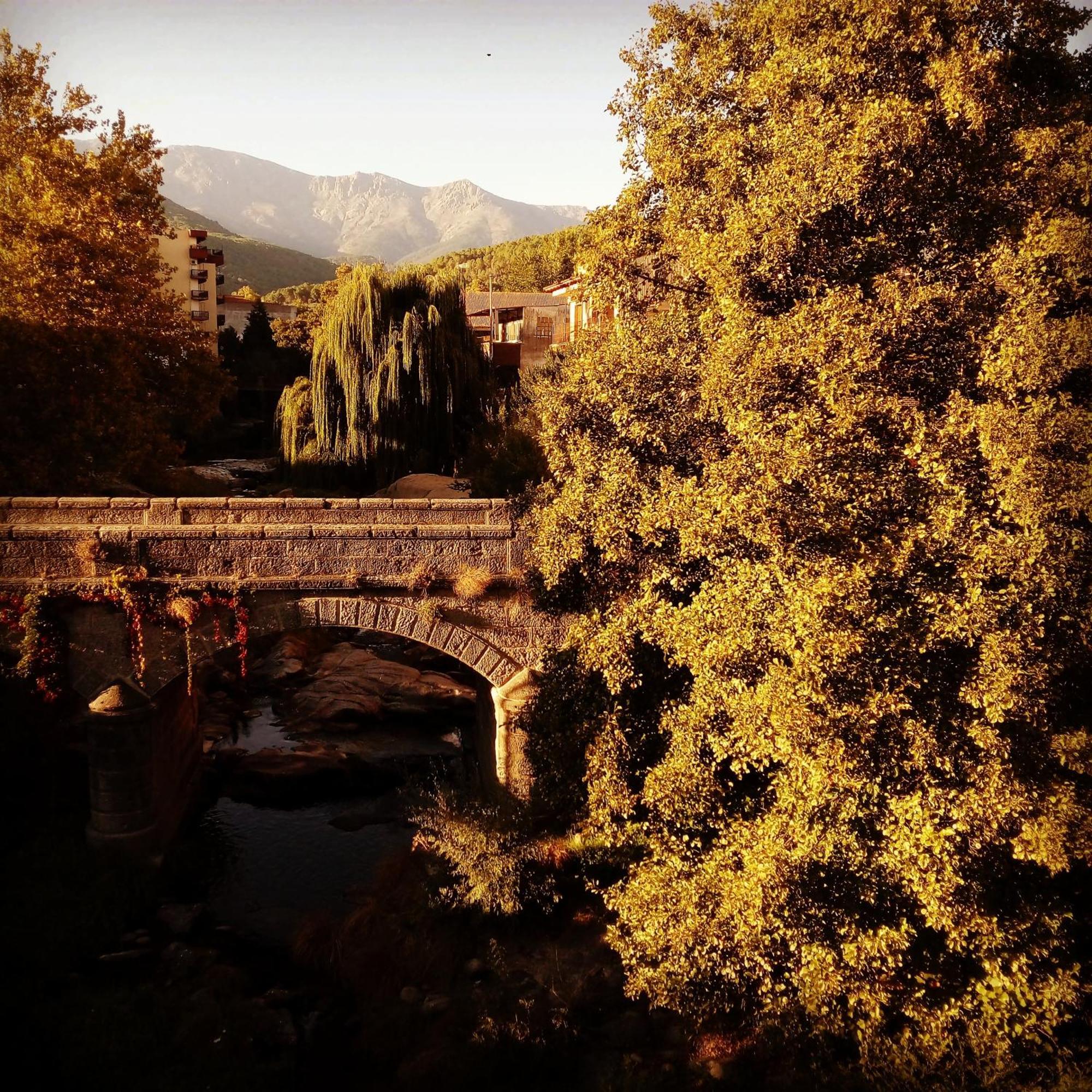 La Albarea By #Cherrygredos El Arenal  Buitenkant foto