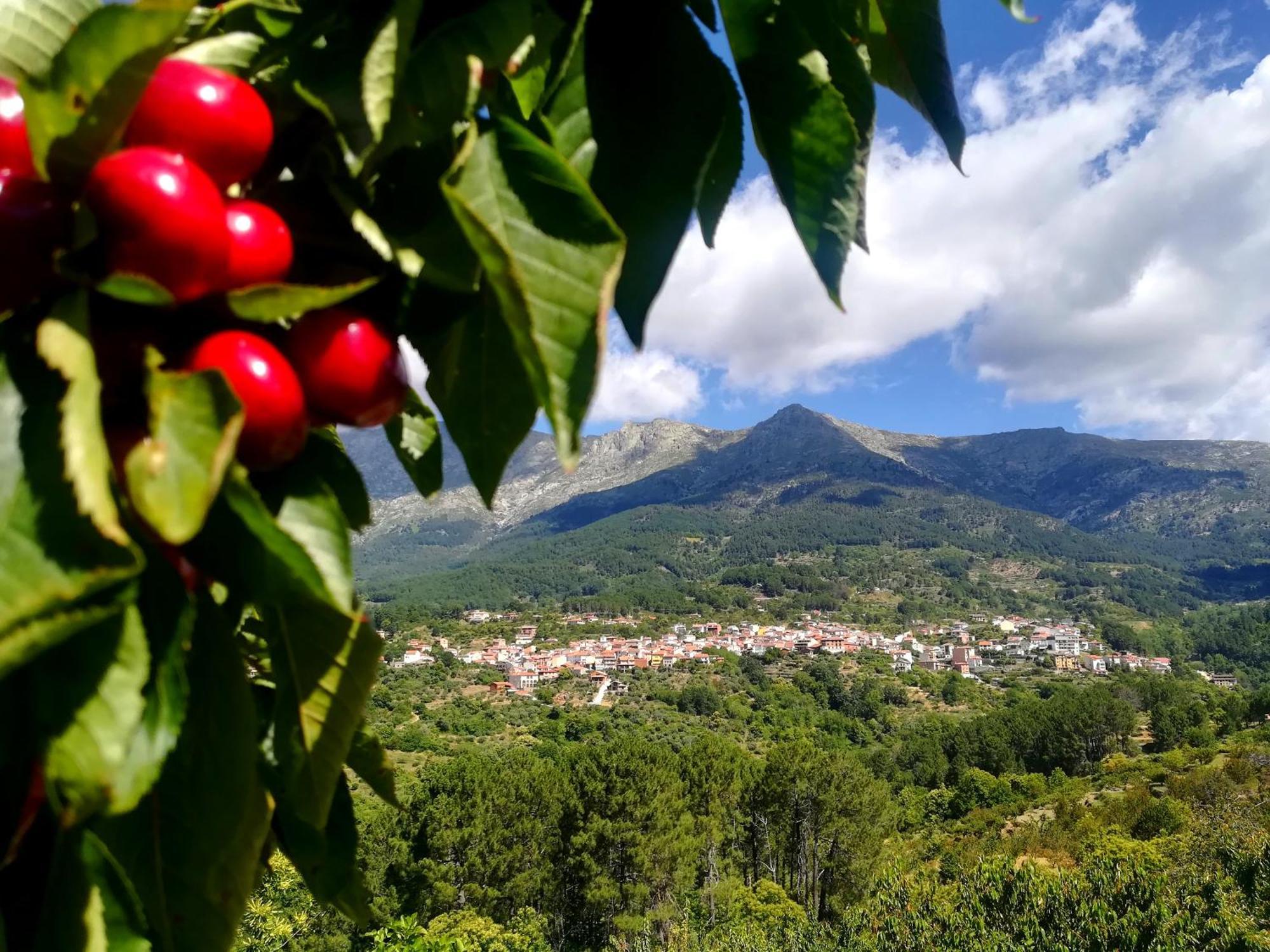 La Albarea By #Cherrygredos El Arenal  Buitenkant foto