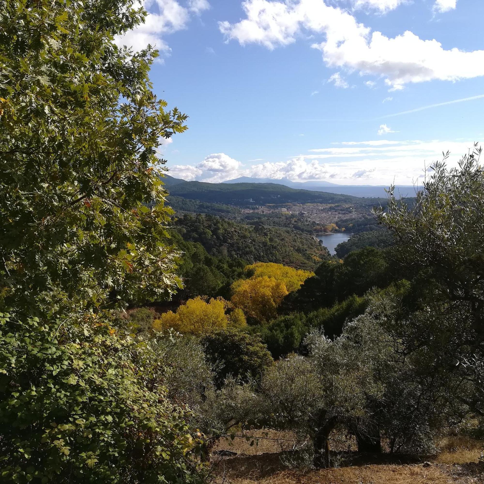 La Albarea By #Cherrygredos El Arenal  Buitenkant foto