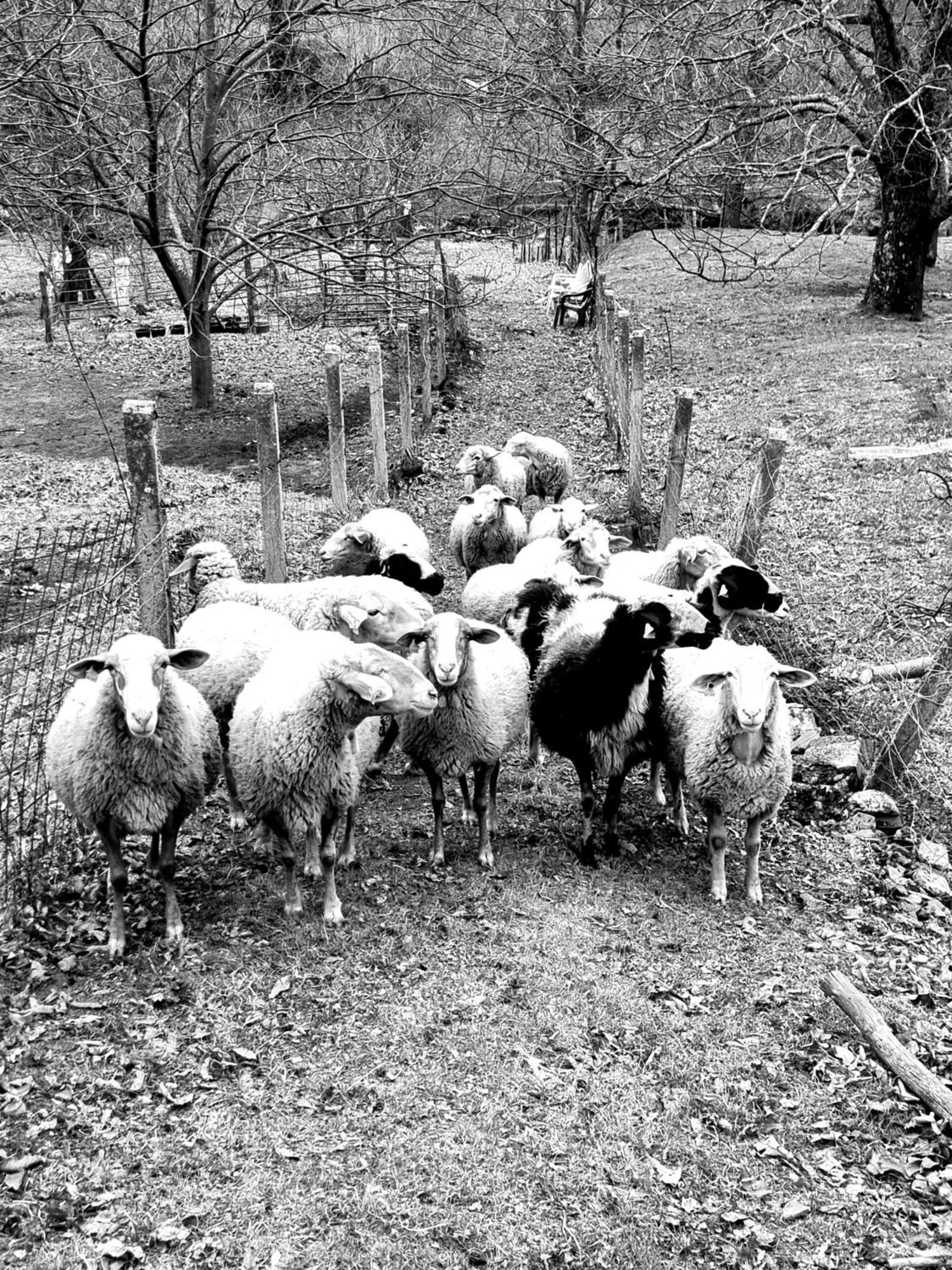 La Albarea By #Cherrygredos El Arenal  Buitenkant foto