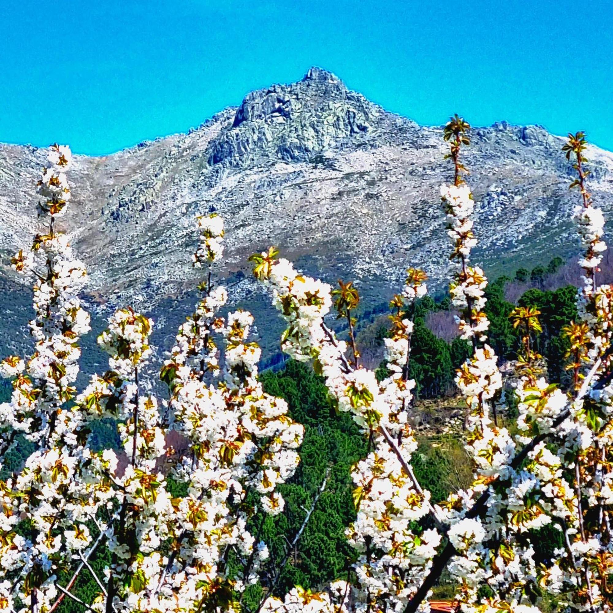 La Albarea By #Cherrygredos El Arenal  Buitenkant foto