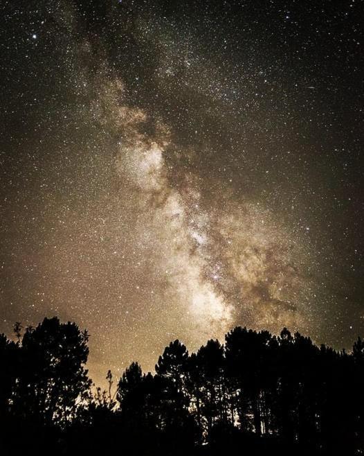 La Albarea By #Cherrygredos El Arenal  Buitenkant foto